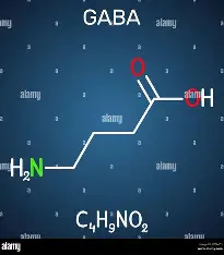 GABA (Gamma-Aminobutyric Acid)